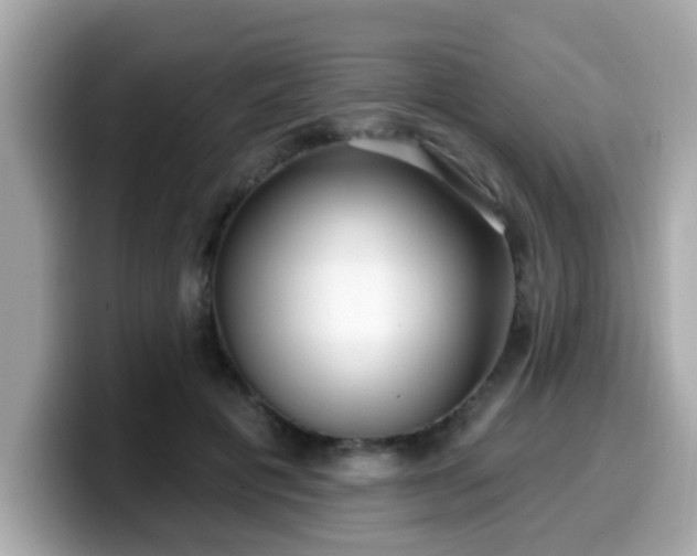 X0000099560601200805231514