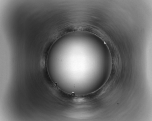 X0000099560602200805231514