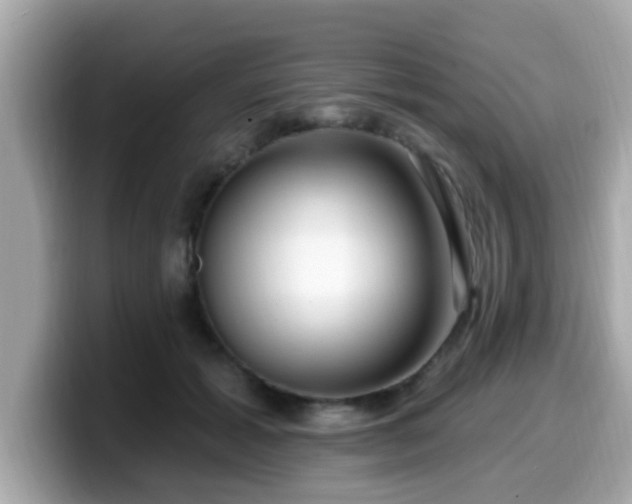 X0000099560605200805231514