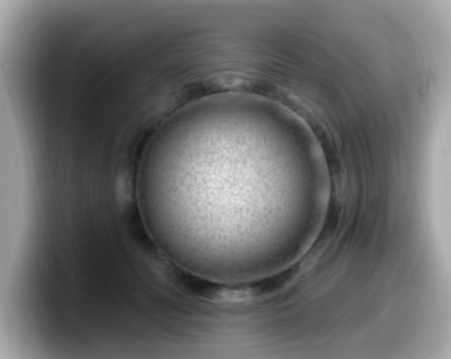 X0000099560606200805231514