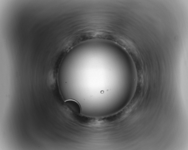 X0000099560607200805231514