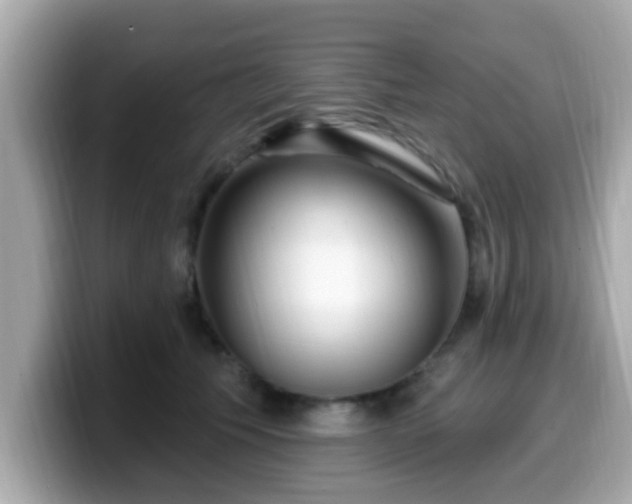 X0000099560609200805231514