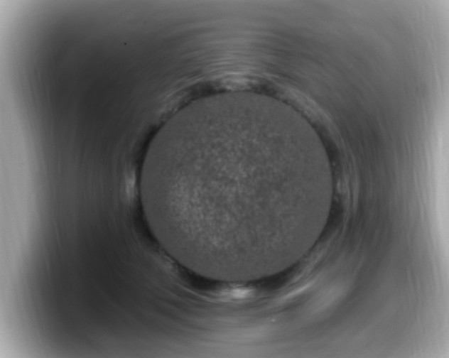 X0000099560610200805231513