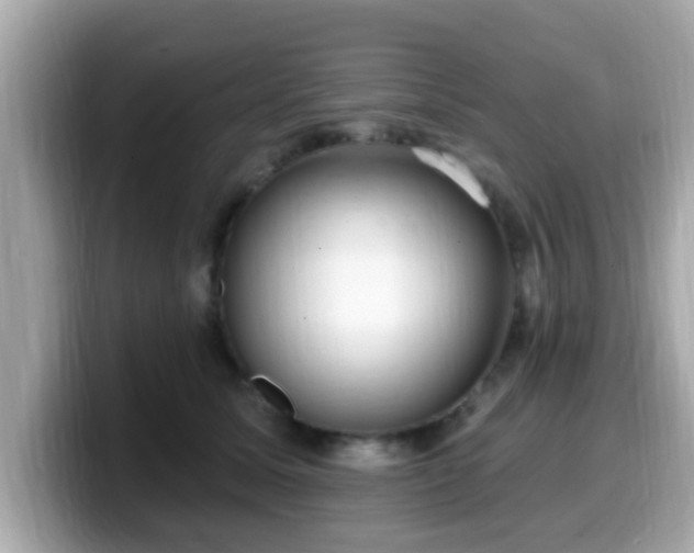 X0000099560611200805231513