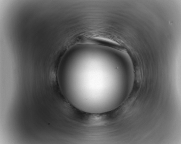 X0000099560613200805231513