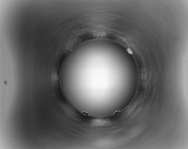 X0000099560614200805231513