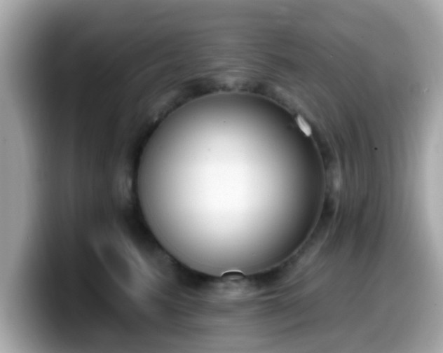 X0000099560615200805231513