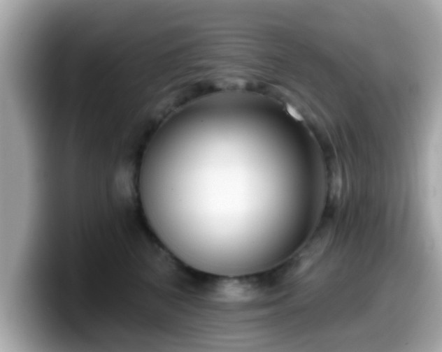 X0000099560616200805231513