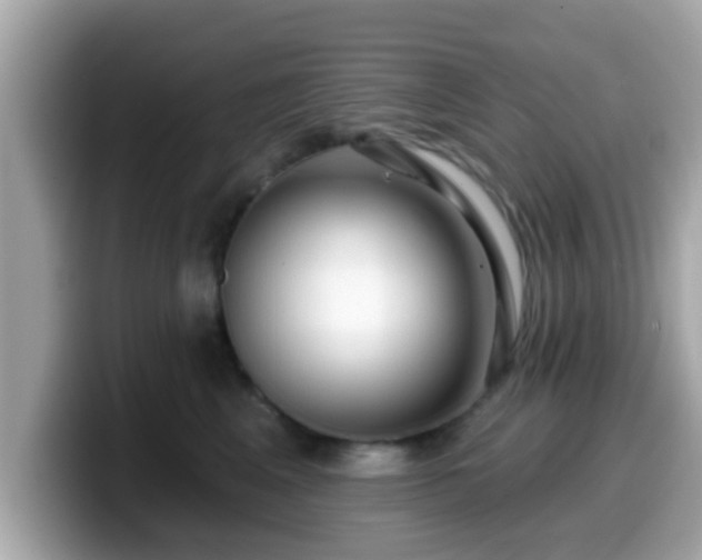 X0000099560617200805231513