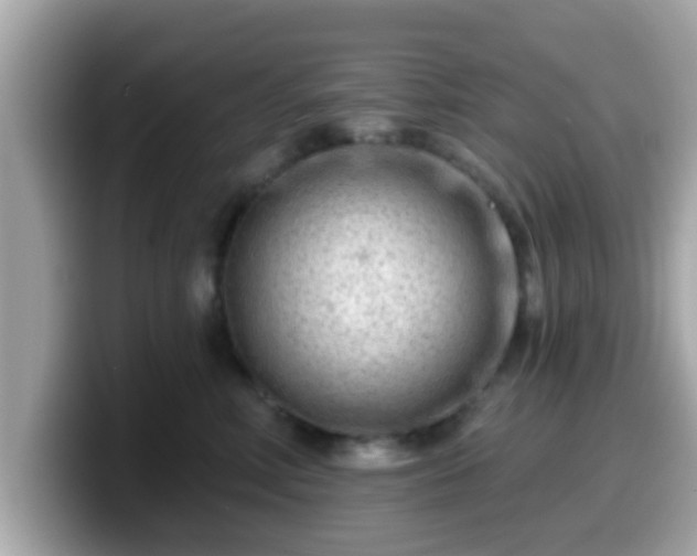 X0000099560618200805231513