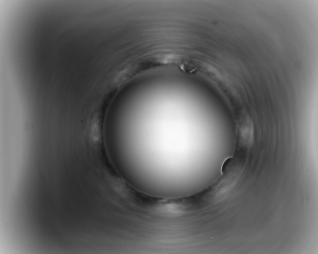 X0000099560620200805231513