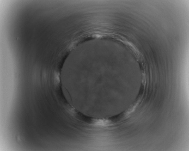 X0000099560621200805231513