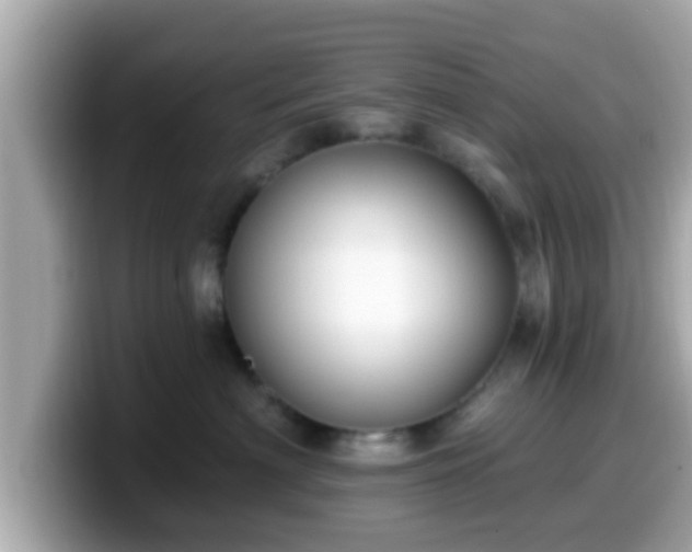 X0000099560622200805231513