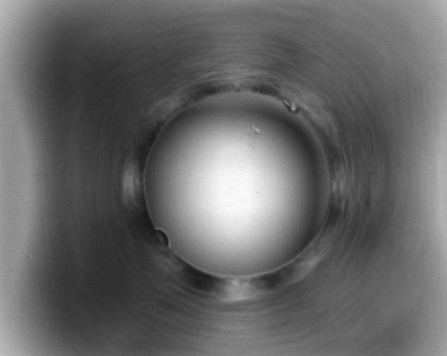 X0000099560623200805231513