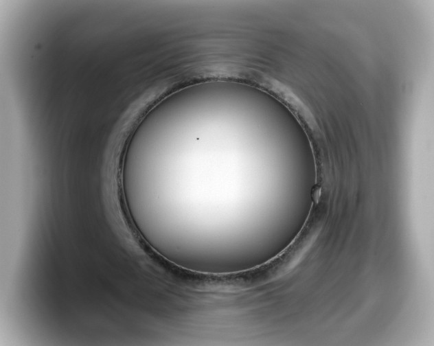 X0000099560625200805231513