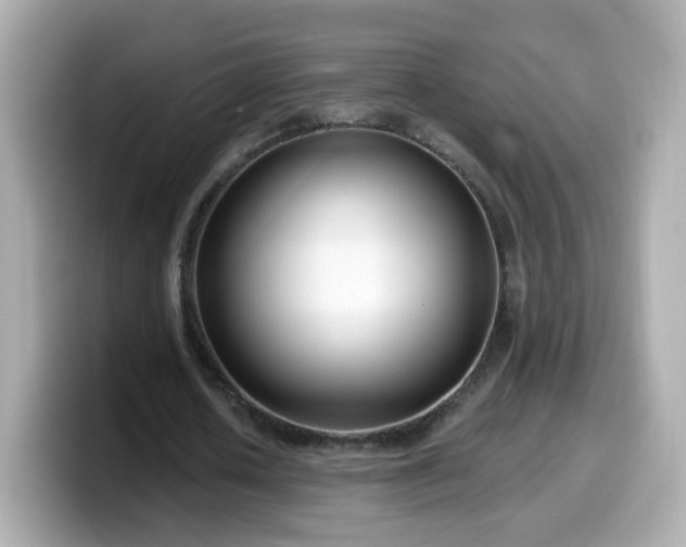 X0000099560626200805231513