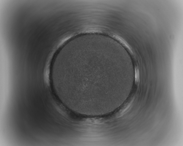 X0000099560627200805231513