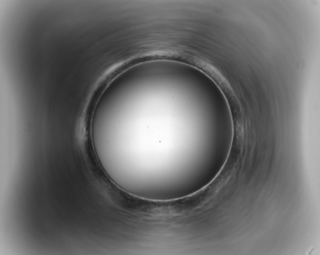 X0000099560628200805231513