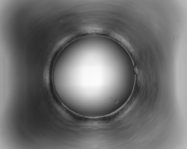 X0000099560629200805231513