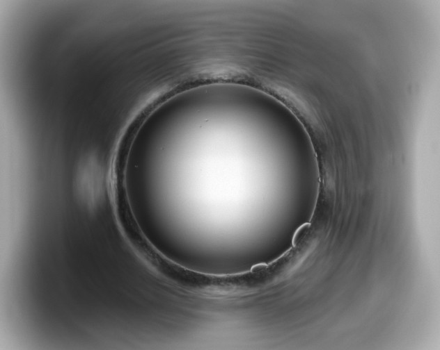 X0000099560630200805231513