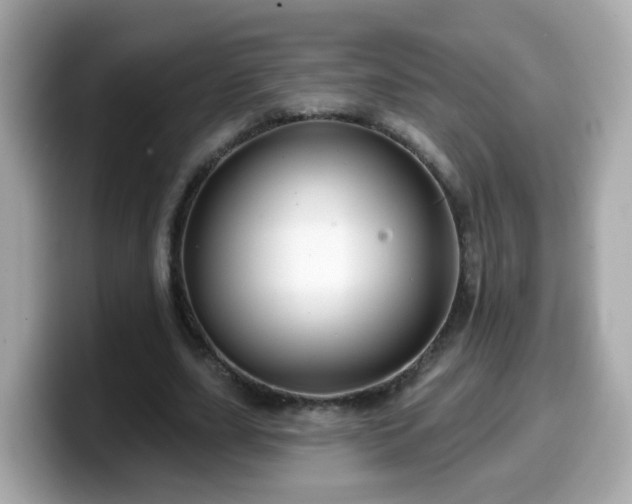 X0000099560631200805231513