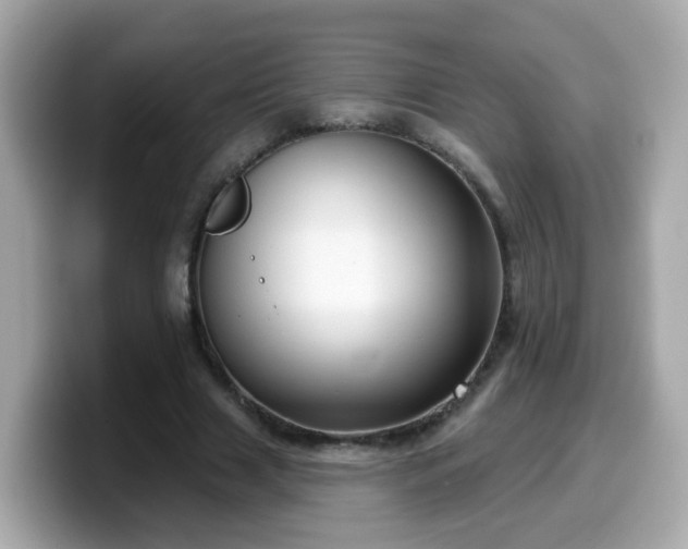 X0000099560633200805231513