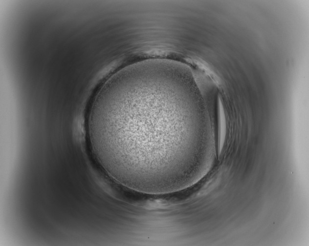 X0000099560634200805231513