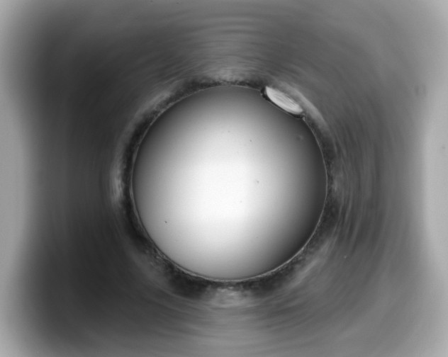 X0000099560635200805231513