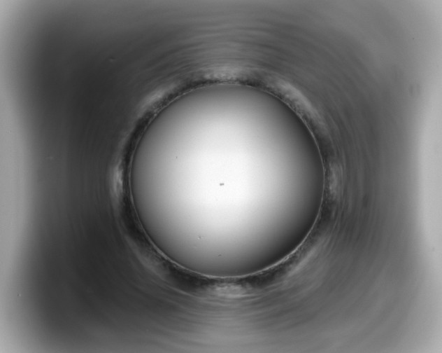 X0000099560636200805231513