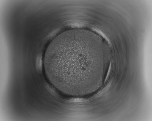 X0000099560637200805231513