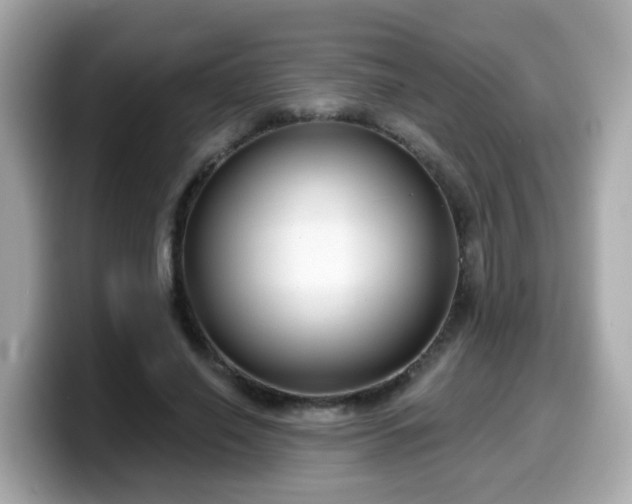 X0000099560638200805231513