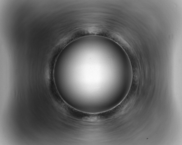 X0000099560639200805231513