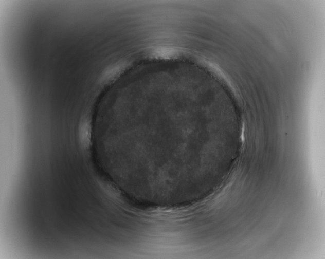 X0000099560640200805231513