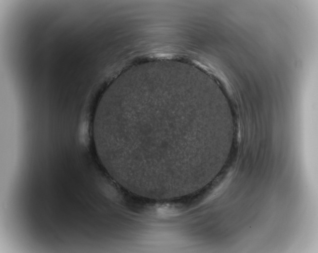 X0000099560641200805231513