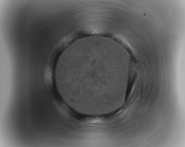 X0000099560643200805231513