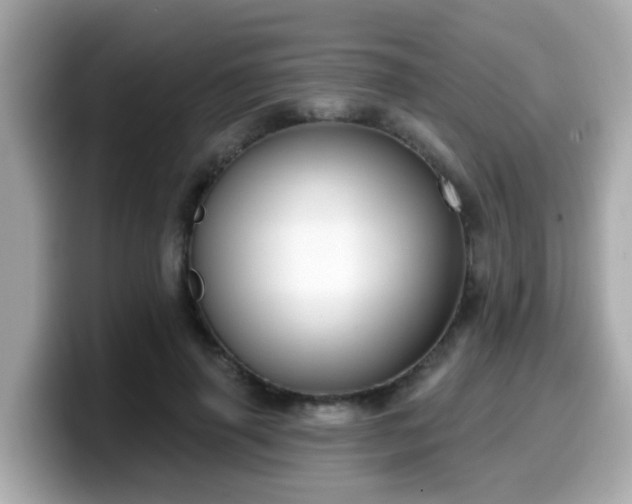 X0000099560645200805231513