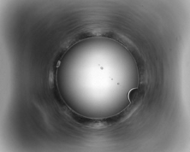 X0000099560646200805231513