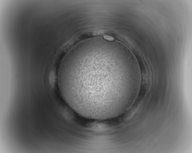 X0000099560648200805231513