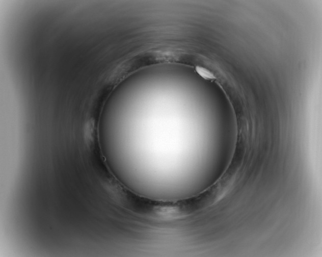 X0000099560649200805231513