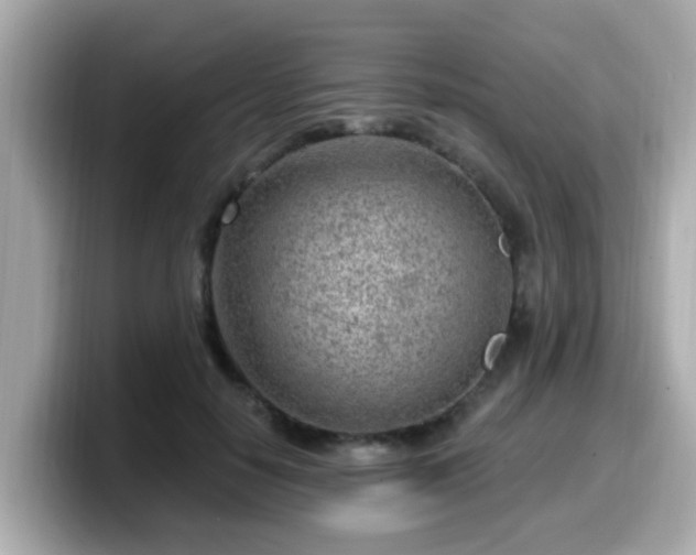 X0000099560650200805231513