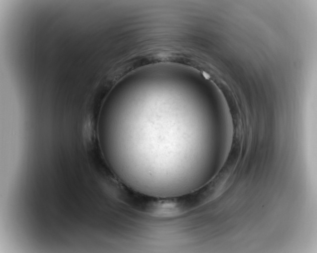 X0000099560651200805231513