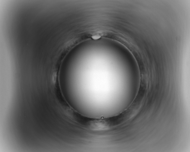 X0000099560652200805231513