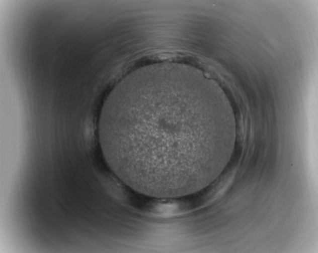 X0000099560653200805231513