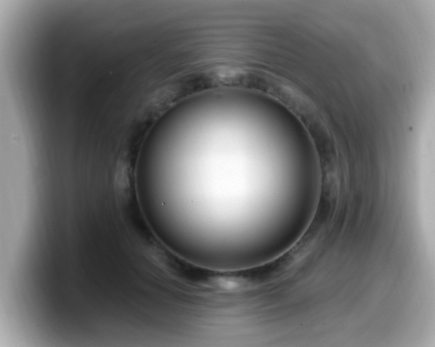 X0000099560654200805231513