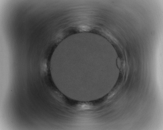 X0000099560655200805231513