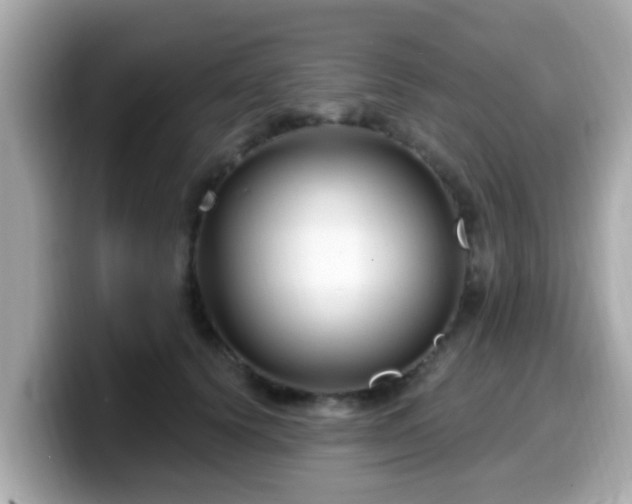 X0000099560656200805231513