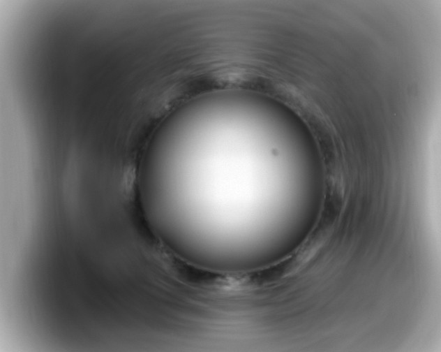 X0000099560660200805231513