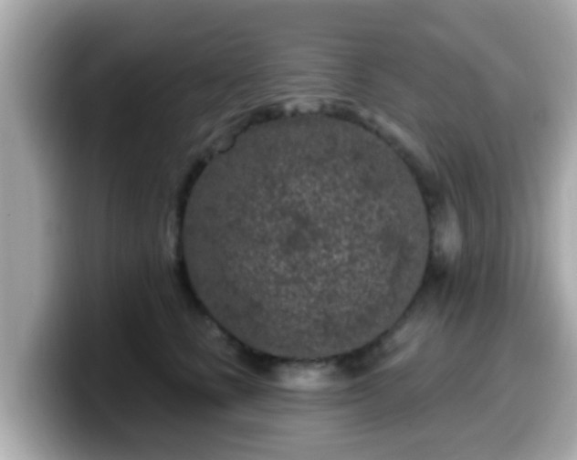 X0000099560661200805231513