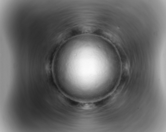 X0000099560663200805231513