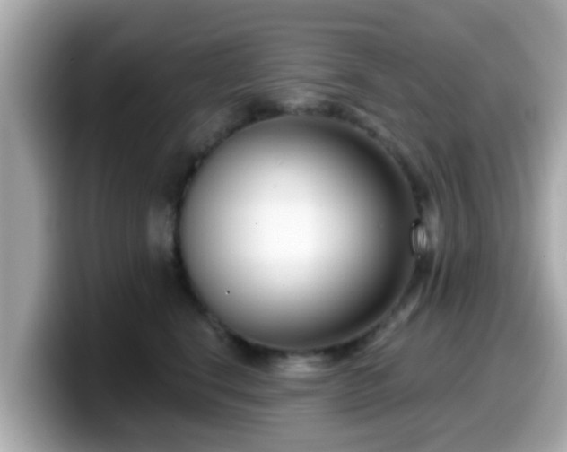 X0000099560664200805231513